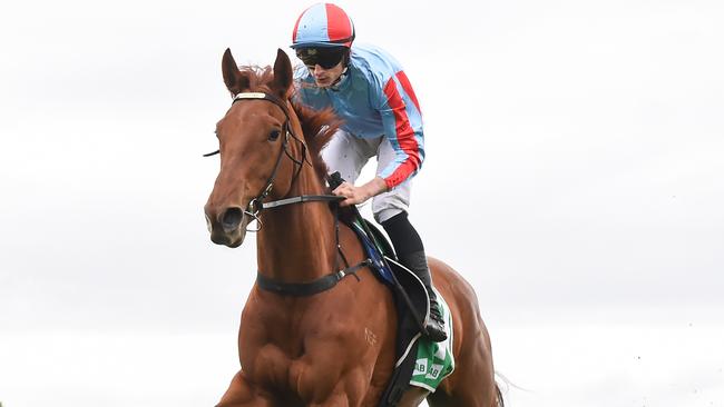 Crown Of Catherine will be out to build on her runaway win at Werribee at Sandown on Wednesday. Picture: Racing Photos via Getty Images.