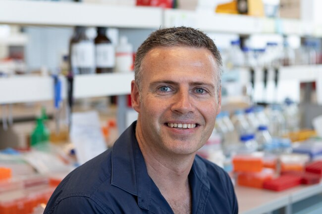 Group Leader of Cellular Immunology at the Murdoch Children’s Research Institute, Associate Professor Daniel Pellicci.