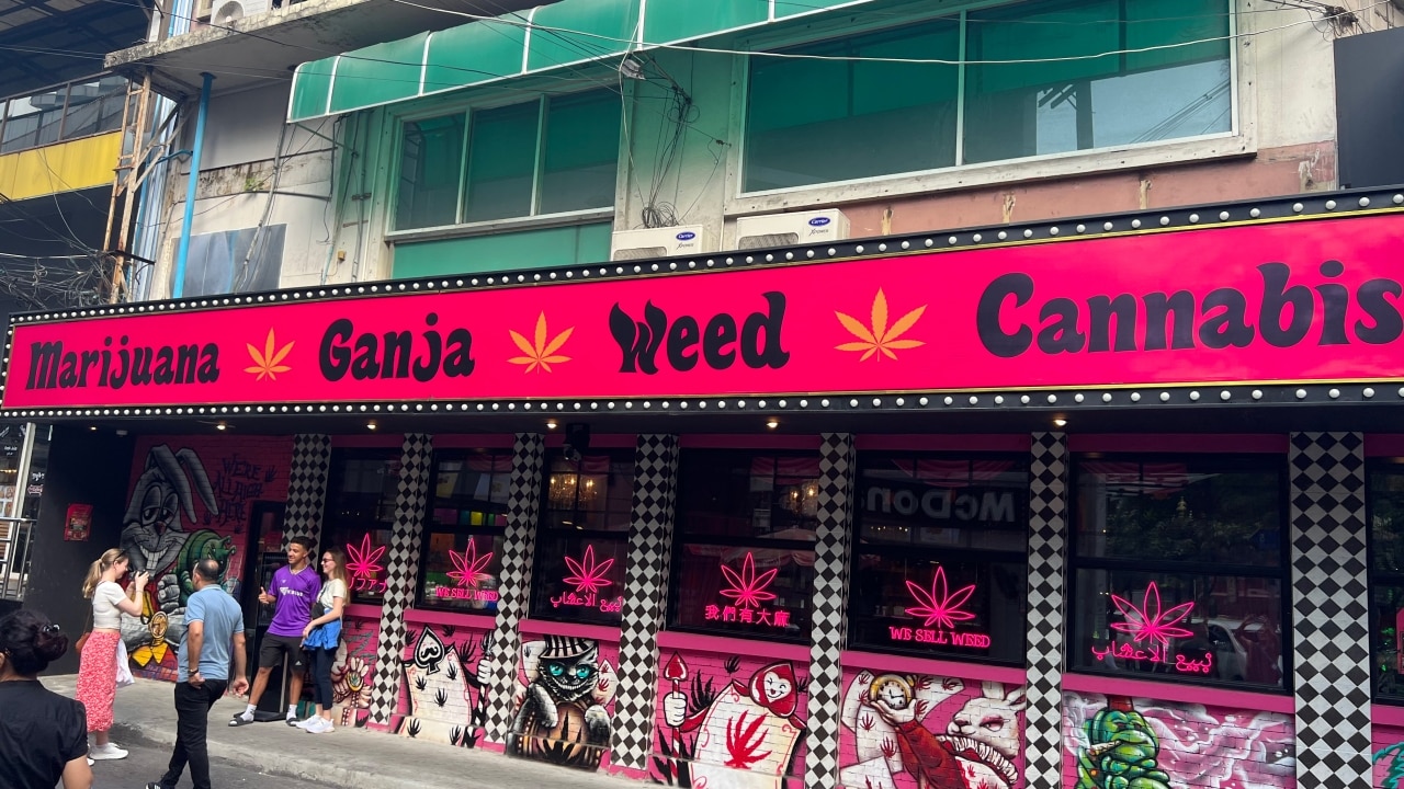 Best Way To Buy Marijuana In Thailand: New ‘doobie’ Allowing Bangkok Is ...