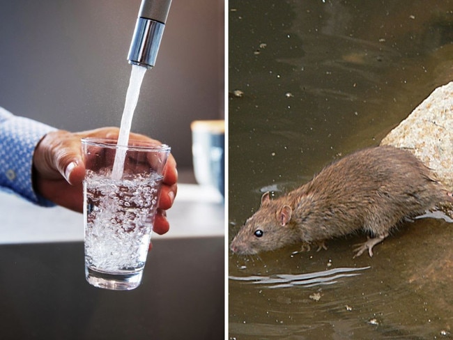 Residents have been urged to boil tap water before drinking after a dead rodent was found in a reservoir along Victoria’s Mornington Peninsula. Those in Flinders, Point Leo and Shoreham were advised “it is not safe to drink water without boiling first” after a dead rodent was found in the Shoreham Reservoir. The grim discovery was made during a maintenance inspection on Thursday. Picture: Supplied.