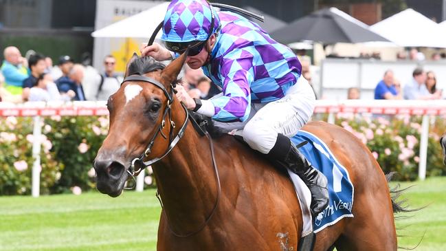 Jenni's Meadow ridden by Daniel Stackhouse wins the Young Members Cocktail Party 2 Feb Handicap at Moonee Valley Racecourse on December 30, 2023 in Moonee Ponds, Australia. (Photo by Pat Scala/Racing Photos via Getty Images)
