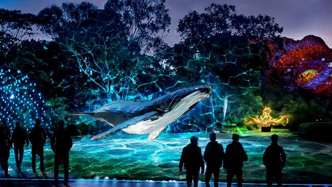 An artist impression of HALO: Life Below Water to run in Townsville from January 15 – 26 2021.