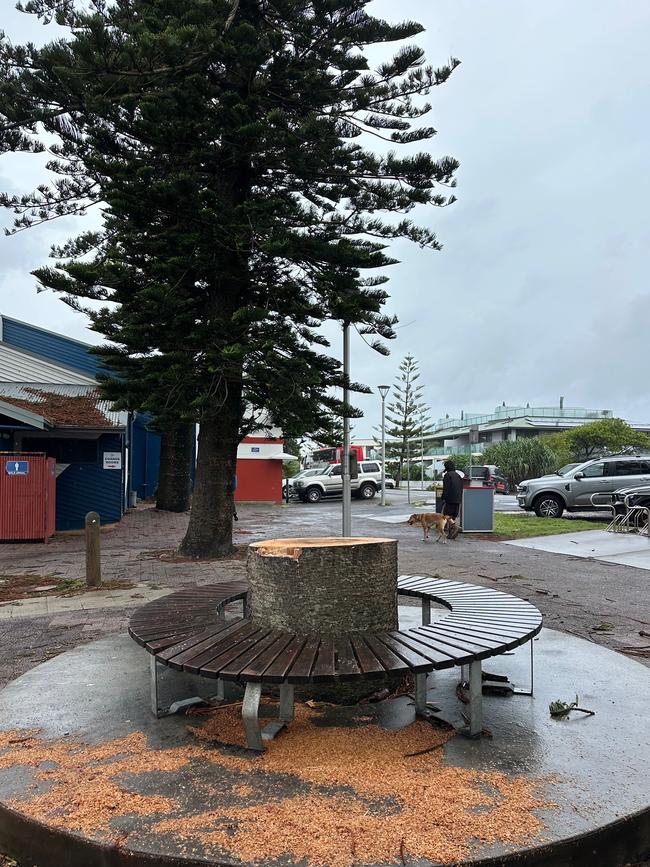 A pine tree stump at Main Beach in Byron Bay. Picture: Matthew Condon