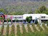 Dusty Hill Vineyard approved for multimillion-dollar facelift