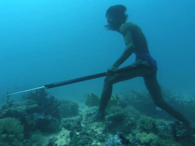 Spleens were larger in the Bajau people whether they were regular divers or not.