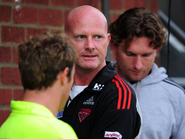 Wallis was an assistance coach at Essendon under James Hird (pictured) and Kevin Sheedy.