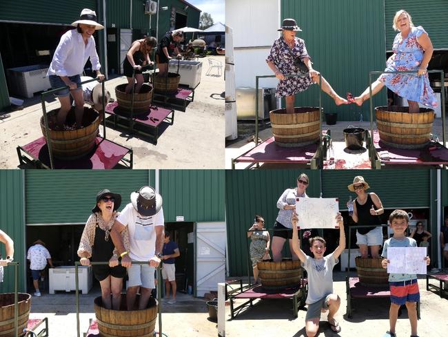 Kingsley Grove Estate's 3rd Annual Grape Stomp. Photo/Holly Cormack.