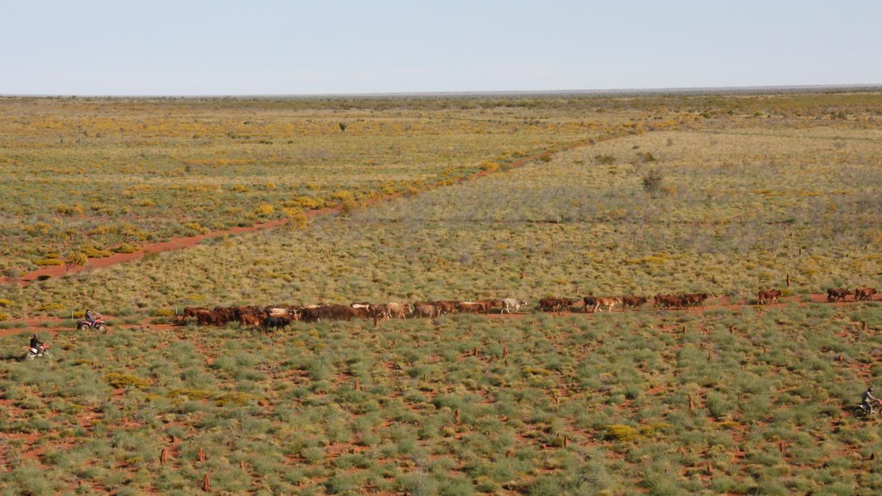 Administrators appointed to save embattled WA farmer lobby