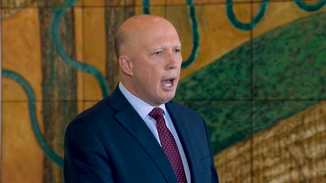 Dutton dumps on Qld govt over Virgin potential buyout