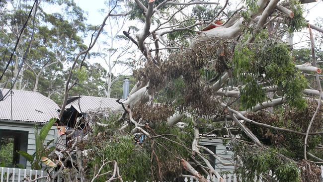 Damage from the storms that brought tornadoes and flooding rains to Mt Tamborine earlier this year. Picture Glenn Hampson