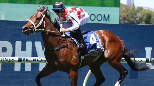 Waterford can bounce back from his first-up defeat and claim the Ajax Stakes at Rosehill. Picture: Grant Guy
