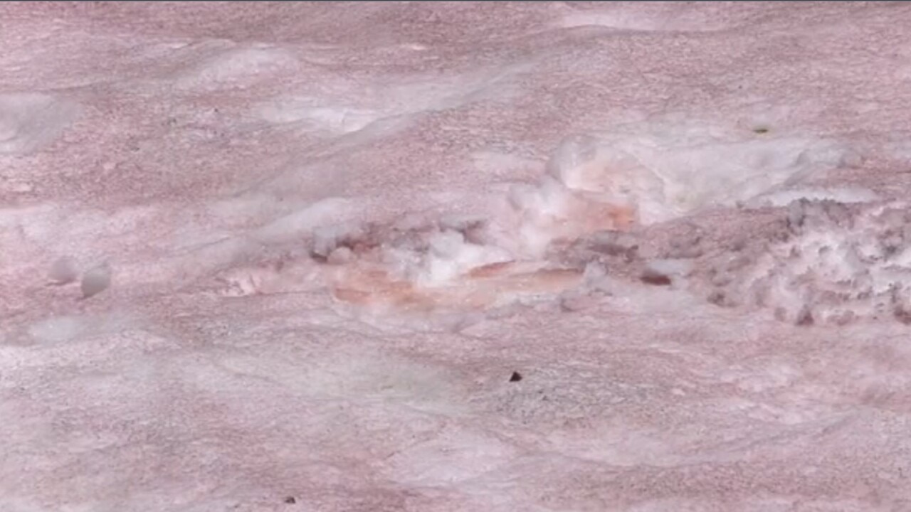 Locals warned to stay away after Australian swamp mysteriously turns pink