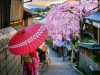11 best things to do in Kyoto