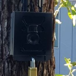 A security camera installed on a tree in the Couran Cove Island Resort. Picture: Facebook