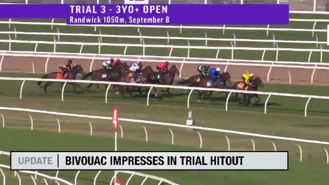 sky racing live stream
