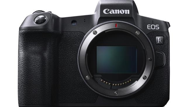 The Canon Eos R achieves lightness and brightness (and sharpness) which is quite a feat.