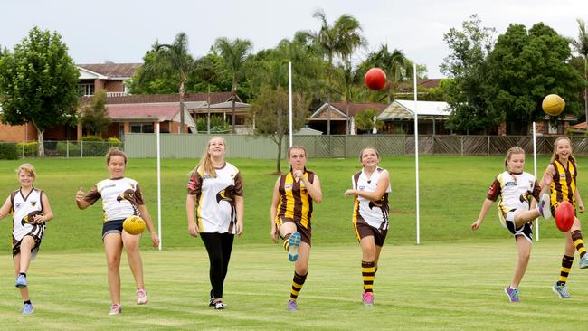 The Baulkham Hills Hawks will enter two all-girls teams in the 2016 season.