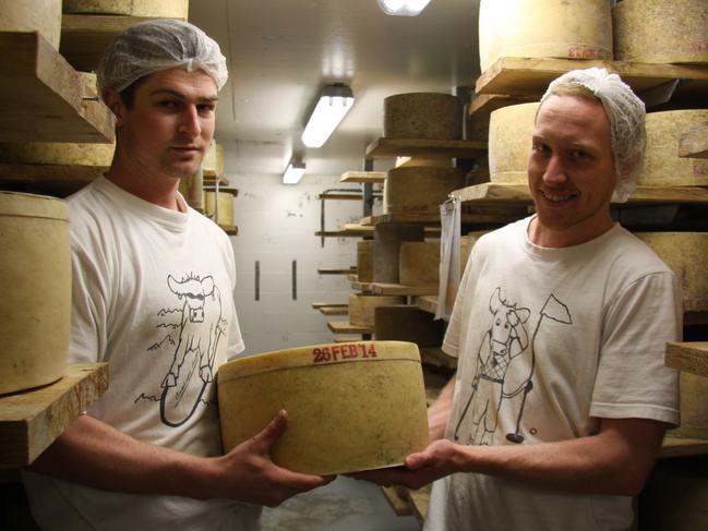 Pyengana Dairy Company cheesemakers James Startup and Clayton Sim in the maturing room.