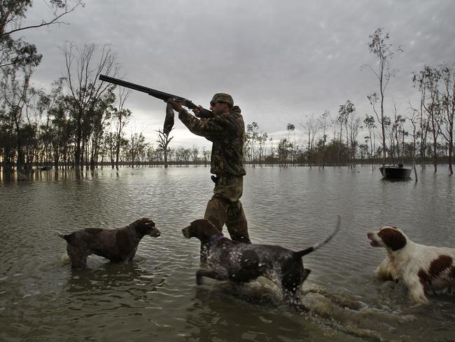 Experts say well-regulated recreational hunting is sustainable and that it does not pose a threat to wild bird populations.