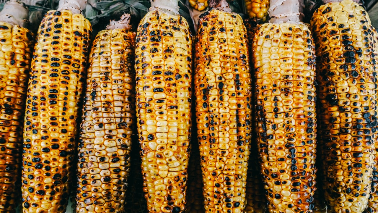 Tiktok doctor reveals why there is corn in your poo body soul