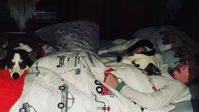 Tassie's Pawfect Pairs | Amanda Leah Millhouse: Bedtime cuddles