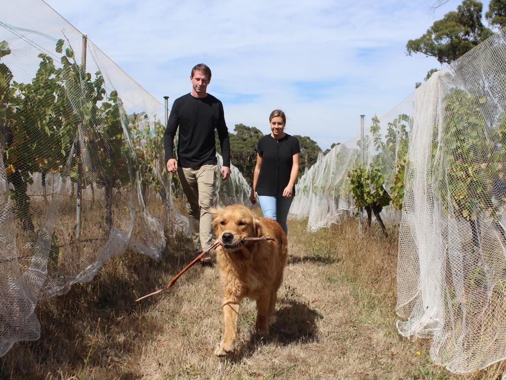 Richmond AFL player Dylan Grimes and his wife Elisha at their Mt Macedon Winery. Picture: Supplied