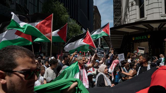 Pro-Palestine protesters are seen at the protest for Gaza in Hyde Park, in Sydney. Picture: NCA NewsWire / Flavio Brancaleone