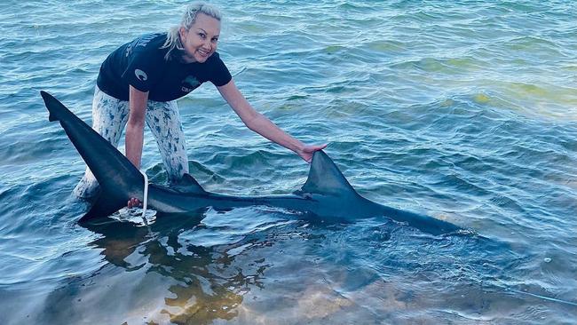 UniSC marine biologist and project lead Dr Bonnie Holmes with the bull shark caught at Twin Waters.