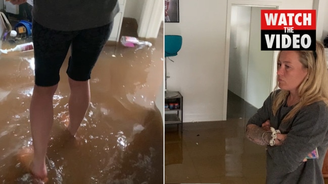 Houses continue to flood as the Murray River peaks