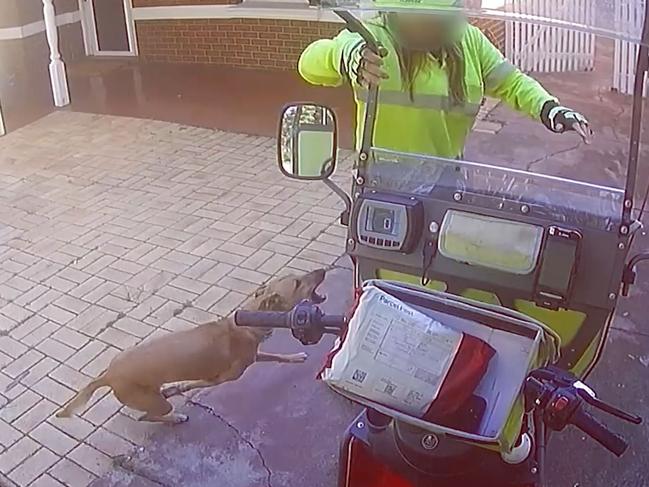Australia Post workers will soon be carrying citronella spray to protect themselves from dangerous dogs. CCTV vision provided from Aus Post showing a postie being attacked by a dog. Picture: Supplied