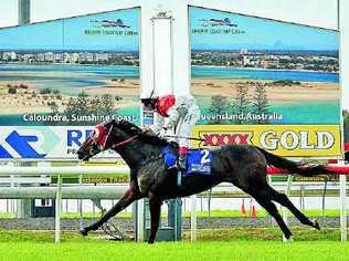 Shane Arnold rides Pride of Poland to an easy win in race four at Corbould Racecourse yesterday. Picture: John Mccutcheon