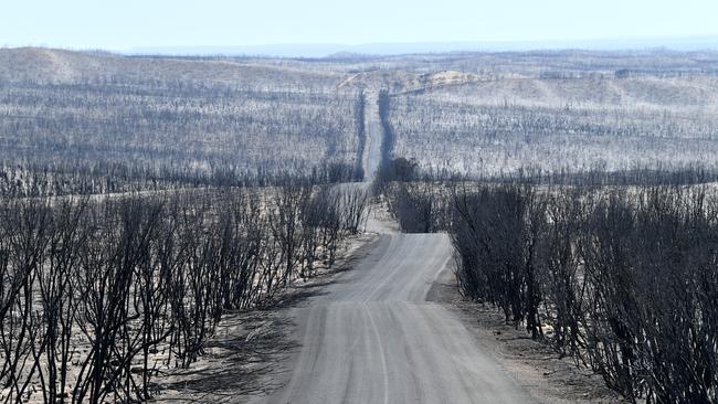 A disaster risk agency to look at ways to adapt to climate change and a set of climate “projections” to help predict future natural disaster risks were advocated. Picture: AAP / David Mariuz