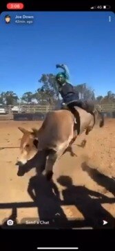 Professional bull rider Sam Woodall training