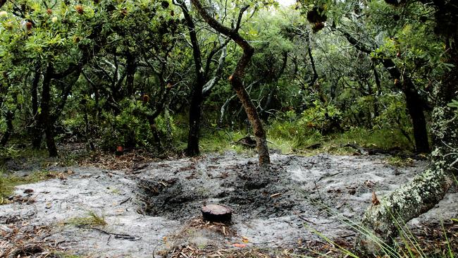 A shallow grave where the body of John 'Jack' Garda was found in Broadwater National Park. Picture: Jay Cronan