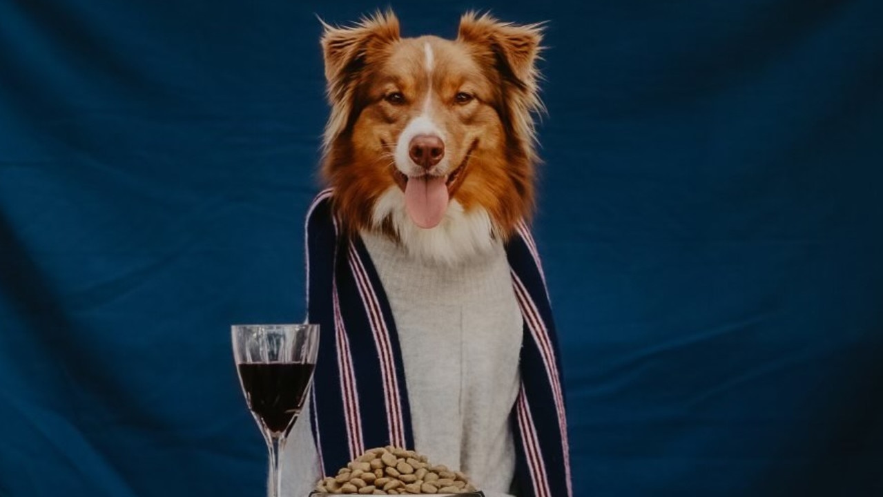 After her sister-in-law passed away from Melanoma cancer, Toowoomba resident Darby Brown decided to photograph her sister in law's pet dog to make a calendar. All proceeds raised are donated to the Melanoma Institute of Australia. Picture: Darby Brown.