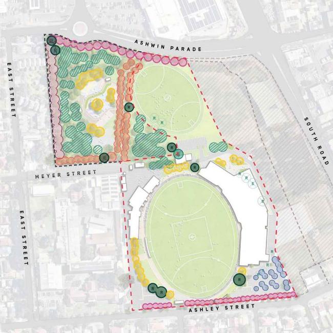 Thebarton Oval Precinct Master Plan - Landscape and Vegetation. Picture: City of West Torrens