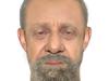 Person of interest revealed in suspected arson spree