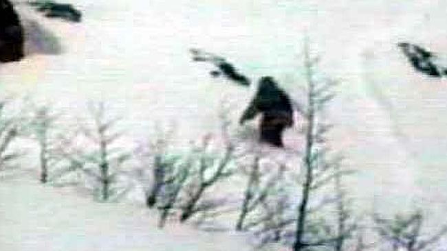 One of the suspected images of a yeti. 