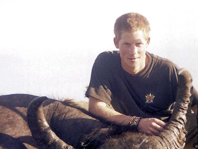 MUST CREDIT SNAPPERGROUP WEB AND PRINT RIGHTS ONLYAs the sun sets on the Argentinian plains, Prince Harry smiles triumphantly and crouches beside the carcass of a recently killed water buffalo. This picture, in which Harry appears to pose as a hunter proudly displaying his trophy, has been published in a