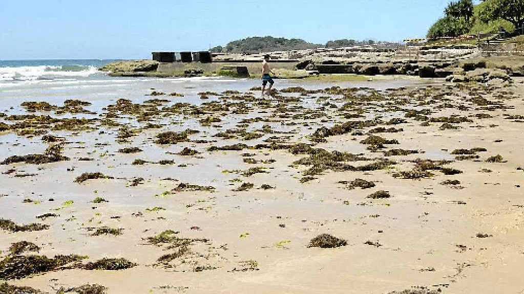 Yamba’s Main Beach 