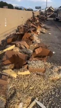 French Fries Spill All Over Highway Following Truck rash