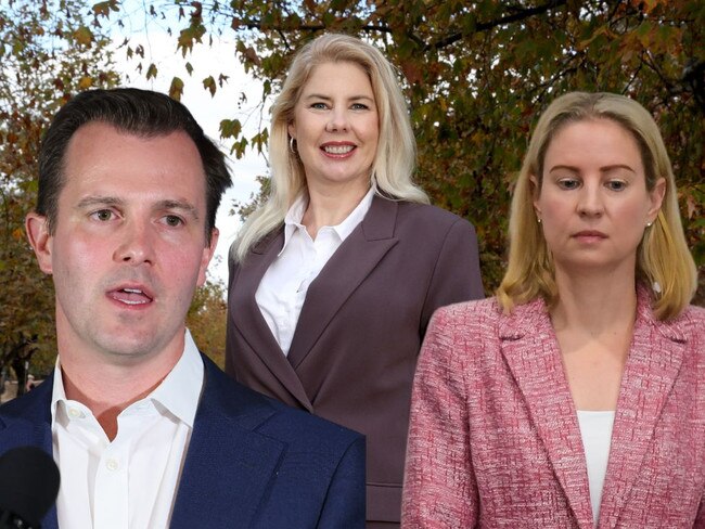 Sturt opinion polling artwork 4:3