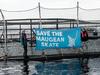 Salmon law may prompt UN visit