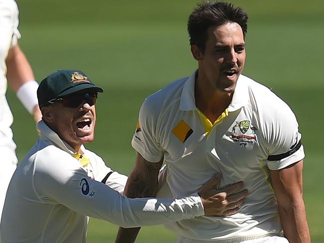 David Warner and Mitchell Johnson in happier times. Picture: Dave Hunt/AAP Image