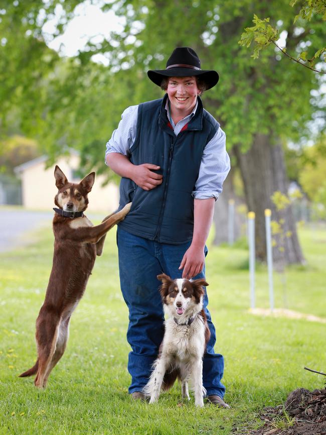 Luke Harris with Tina the Kelpie and Gypsy the Border Collie.