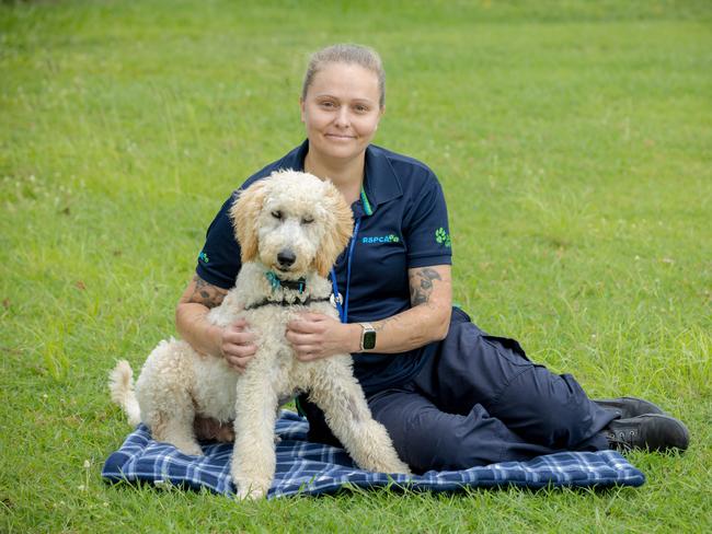 RSPCA Queensland adoption and foster manager Nellie Worringham with five-month-old male Standard Poodle/Golden Retriever cross 'Ziggy' who was surrendered at Wacol. Picture: Richard Walker