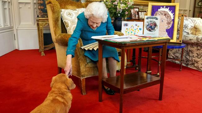 Queen Elizabeth strokes Candy, her corgi, as she looks at a display of memorabilia from her Golden and Platinum Jubilees earlier this year. Picture: AFP.