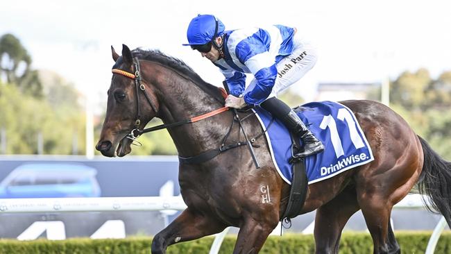 Straand Beauty has barrier one at Canterbury on Friday night to the delight of trainer Anthony Cummings. Picture: Bradley Photos