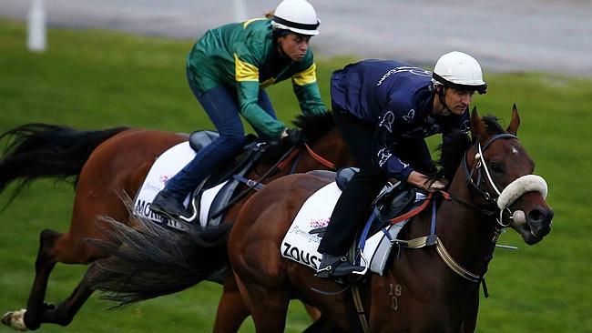 Chris Waller pair Moriarty (left) and Zoustar complete trackwork together at Flemington. Picture: Michael Klein