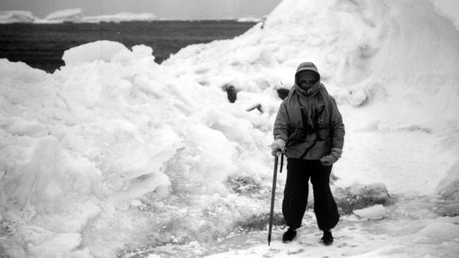 Nel Law at Aviation Islands in Antarctica in 1961, photographed by her husband, Phillip Law. Photo: Australian Antarctic Division.